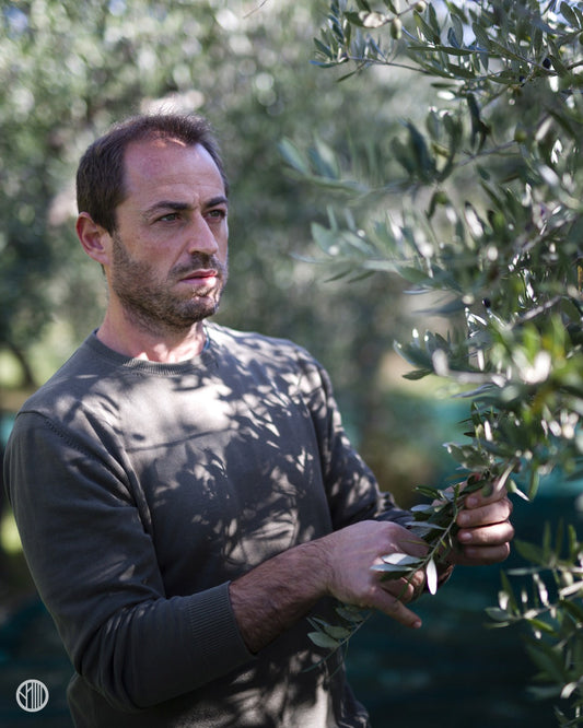 Artisan: Orominerva – Molise’s Golden Heart of Oil and Sun